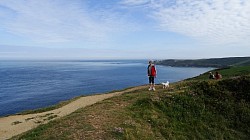 Au bout du cap Nez de Jobourg