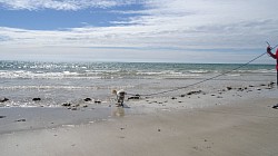 Moi j'aime pas l'eau salée !