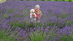 Francine et Samy dans la lavande